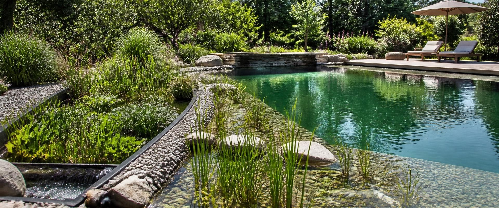 Exploring Bio-filtration Systems for Natural Pools