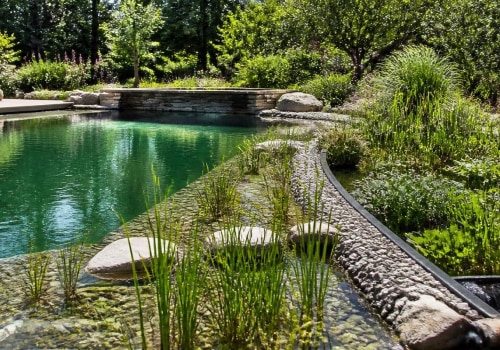 Exploring Bio-filtration Systems for Natural Pools